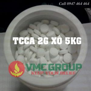 VIÊN NÉN TCCA 2GRAM- HCMT - Ảnh 2