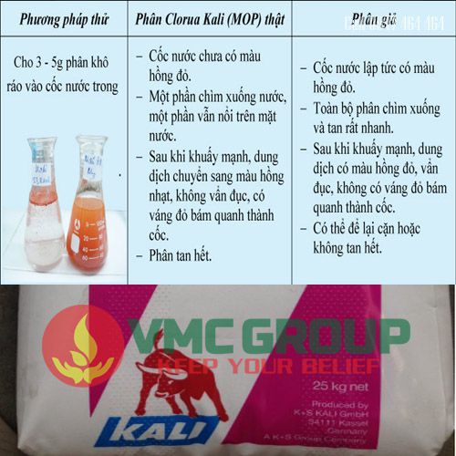phan biet Kali Clorua – KCL Potassium Chloride (MOP)