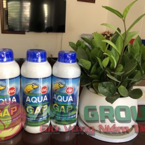 AQUA GAP TRONG NUÔI TRỒNG THỦY SẢN - HCMT - Ảnh 2