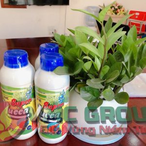 SUPER YUCCA DÙNG TRONG THỦY SẢN - HCMT - Ảnh 4