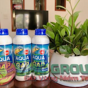 AQUA GAP TRONG NUÔI TRỒNG THỦY SẢN - HCMT - Ảnh 3