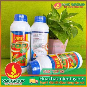 vmc-top-80